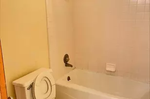 116 W McKay St, Saline, MI 48176 - Photo 10