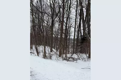 313 W Spruce Street E, Big Rapids, MI 49307 - Photo 2