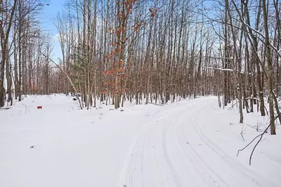 18.9 Acres S 176th Avenue, Hesperia, MI 49421 - Photo 16