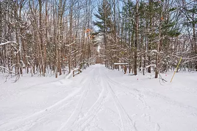 18.9 Acres S 176th Avenue, Hesperia, MI 49421 - Photo 4