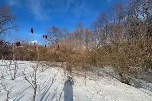 00 2 67A Ironwood Dr, Ludington, MI 49431 - Photo 8