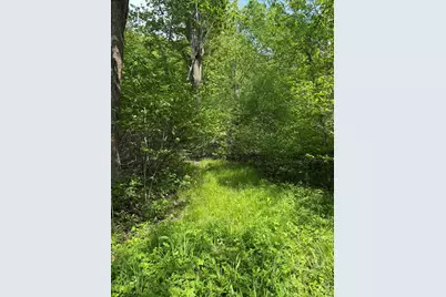 V/L Scottdale Road, Berrien Springs, MI 49103 - Photo 30