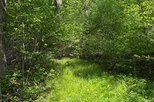 V/L Scottdale Rd, Berrien Springs, MI 49103 - Photo 30