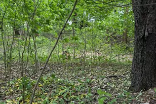 V/L Scottdale Rd, Berrien Springs, MI 49103 - Photo 18