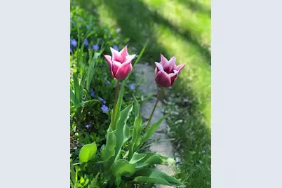 1261 Pageant Avenue, Ypsilanti, MI 48198 - Photo 52