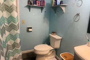 132 W Todd Ave, Reed City, MI 49677 - Photo 16