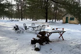 19248 Caberfae Hwy, Wellston, MI 49689 - Photo 10