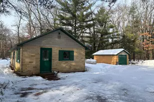 19248 Caberfae Hwy, Wellston, MI 49689 - Photo 1