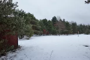 4901 Brunswick Rd, Holton, MI 49425 - Photo 8