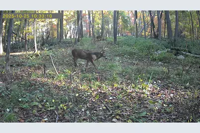 20 Ac Vl Sears Road, Horton, MI 49246 - Photo 6