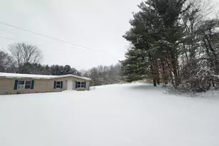 25113 12th Ave, Gobles, MI 49055 - Photo 4