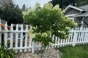 420 Montrose Ave, Kalamazoo, MI 49001 - Photo 32