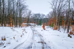 1041 S Poplar Ave, White Cloud, MI 49349 - Photo 28