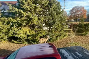 210 S Jackson Rd, Ludington, MI 49431 - Photo 28