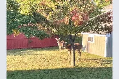 210 S Jackson Road, Ludington, MI 49431 - Photo 30