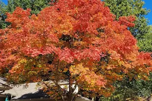 2031 N Cross Creek Dr SE, Grand Rapids, MI 49508 - Photo 26