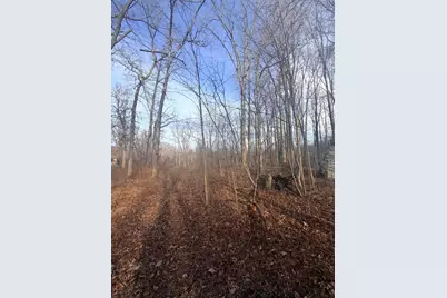 45867 Wear Road, Belleville, MI 48111 - Photo 38