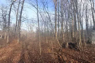 45867 Wear Rd, Belleville, MI 48111 - Photo 38