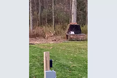 45867 Wear Road, Belleville, MI 48111 - Photo 30