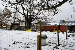 8492 Gibson Ave, Lake, MI 48632 - Photo 24