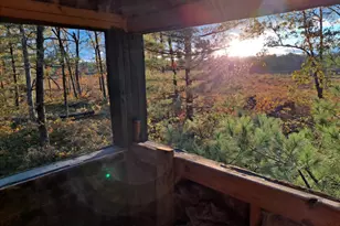 7423 S Nelson Rd, Chase, MI 49623 - Photo 20