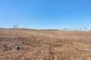 16107 12 Mile Rd, Leroy, MI 49655 - Photo 34