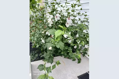 4728 Macatawa Legends Boulevard #19, Holland, MI 49424 - Photo 58