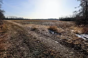 1767 Flanders Rd, Charlotte, MI 48813 - Photo 12