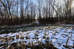 1767 Flanders Rd, Charlotte, MI 48813 - Photo 24