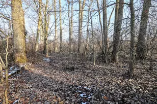 1767 Flanders Rd, Charlotte, MI 48813 - Photo 18