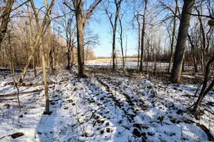 1767 Flanders Rd, Charlotte, MI 48813 - Photo 46