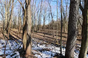 1767 Flanders Rd, Charlotte, MI 48813 - Photo 38