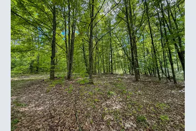 157.22 E 24th Street, Reed City, MI 49677 - Photo 20