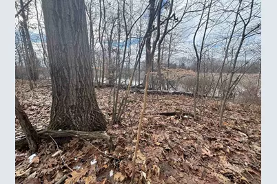 00 25A 89th, Decatur, MI 49045 - Photo 16