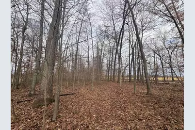 00 25A 89th, Decatur, MI 49045 - Photo 26