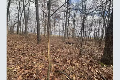 00 25A 89th, Decatur, MI 49045 - Photo 24