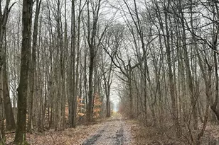 36th Ave, Paw Paw, MI 49079 - Photo 1