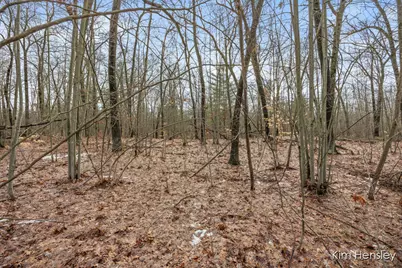 V/L W Wood Lake Road, Pierson, MI 49339 - Photo 4