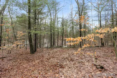 V/L W Wood Lake Road, Pierson, MI 49339 - Photo 10