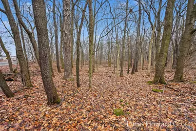 Vl E T U Avenue, Vicksburg, MI 49097 - Photo 44