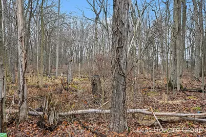 Vl E T U Avenue, Vicksburg, MI 49097 - Photo 42