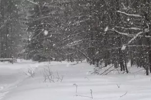 151 Skocelas Rd N, Manistee, MI 49660 - Photo 14