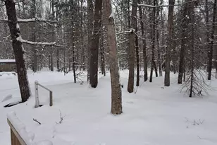151 Skocelas Rd N, Manistee, MI 49660 - Photo 20