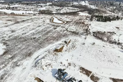 233 Campolina Street, Chelsea, MI 48118 - Photo 60