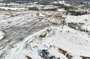 233 Campolina St, Chelsea, MI 48118 - Photo 60