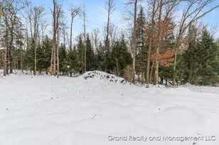 8081 E Arthur Rd, Hesperia, MI 49421 - Photo 46