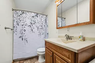 917 N Detroit St, Buchanan, MI 49107 - Photo 14