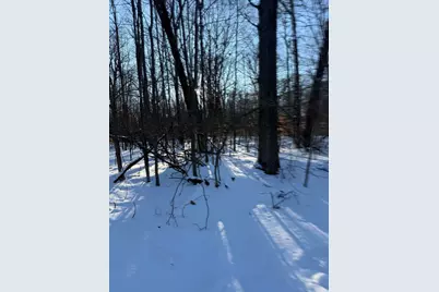 [Address not provided], Reed City, MI 49677 - Photo 1