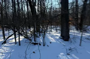 [Address not provided], Reed City, MI 49677 - Photo 1