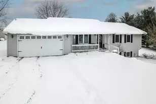 9073 Wabasis Shores Dr NE, Greenville, MI 48838 - Photo 1